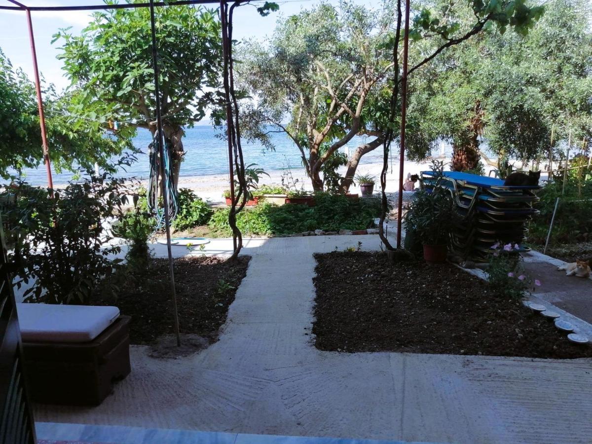 Vassia'S Beach Houses 贝尼蔡斯 外观 照片