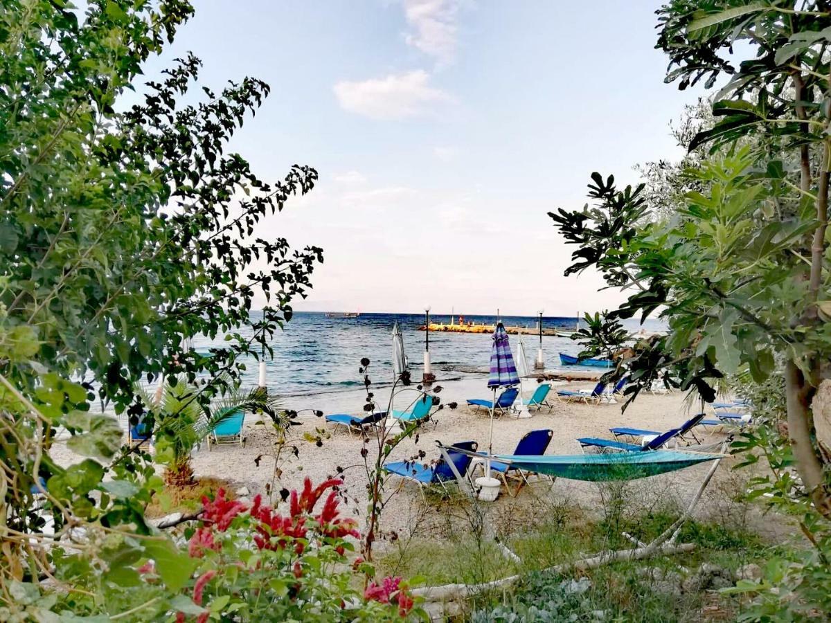 Vassia'S Beach Houses 贝尼蔡斯 外观 照片